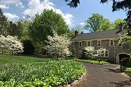 Dogwoods in bloom by her house at the Bamboo Brook Outdoor Education Center, Chester Township, New Jersey