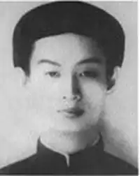 A young slim man aged around 20, with sharp eyes and nose, wearing a cylindrical traditional Vietnamese cloth headpiece and tunic. Both the headpiece and tunic are black.