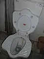 Hybrid toilet that can be used in squat mode