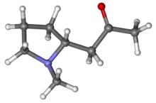 Ball-and-stick model of hygrine molecule