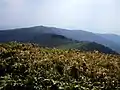 Southside view from the top of Mount Hyōno