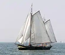 Traditional boat on the IJsselmeer
