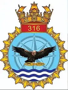 INAS 316 insignia