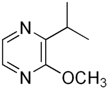 Chemical structure of isopropyl methoxypyrazine
