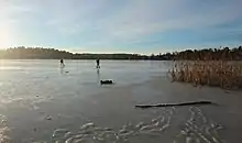 Ice skating in winter.
