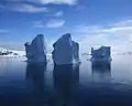Icebergs in the channel