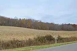 Fields along Ideal Road, northeast of Byesville