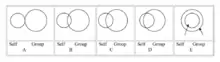 Pictorial Scale Measure of Identity Fusion.