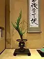 Arrangement of the Saga Go-ryū in front of a hanging scroll in a tokonoma. The branch to the right shows the silhouette of Mount Fuji