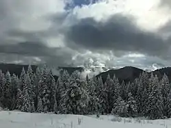 Ilgaz Mountains