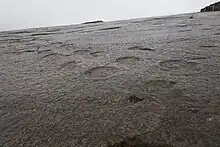 Sauropod footprints of the Serra de Aire Natural Monument