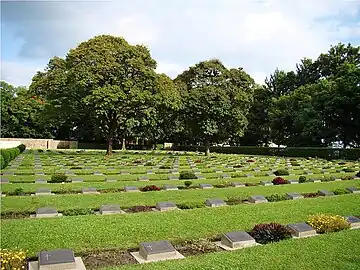 Green field with small stones in front, with blue sky above