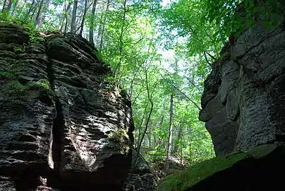 Parfrey's Glen