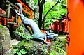 Fox fountain in Fushimi Inari-taisha shrine