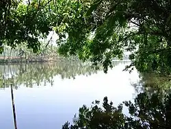 Kupam River at Mukkunnu