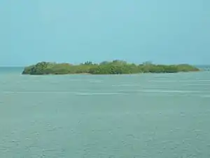 The island of Indian Key where the settlement was located, as seen from U.S. 1 (Overseas Highway)