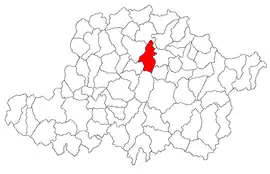 Location in Arad County