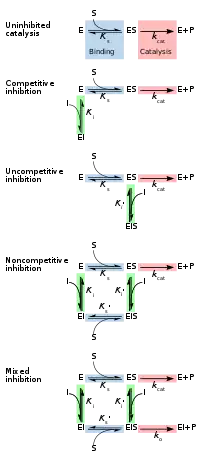 chemical equilibrium reaction formula for competitive, uncompetitive, non-competitive, and mixed inhibition