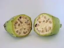 Photo of two cross-sectional halves of seed-filled fruit.