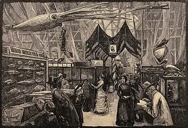 Illustration of the 1883 International Fisheries Exhibition, with a model of a giant squid, for Cassell's History of England, 1903