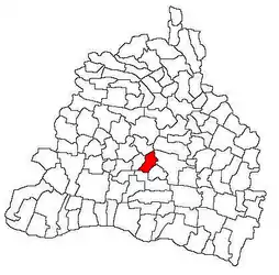 Location in Dolj County