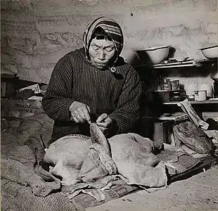 An Inuk making kamiit from sealskin, in an iglu in Inukjuak, Quebec, Canada, January 1946