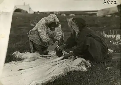 Scraping caribou skin, Alaska, 1922