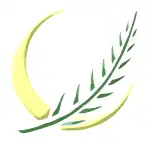Iraqi Accord Front logo