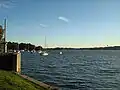 View of Iron Cove from King George Park, Rozelle