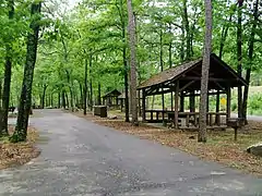 Picnic area, 2014