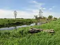 Oxbow lake along the Irpin River (Ukraine)