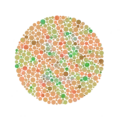 Ishihara Plate No. 29  (a line can be traced by many of those with red-green color blindness, but not by those with normal color vision)
