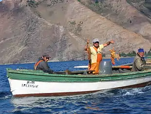 Chilean fishermen with lobsters