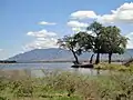 Looking across the Zambezi River to the Zambezi Escarpment, Zambia, from Mana Pools National Park