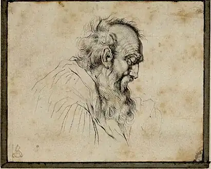 An Old Man's Head