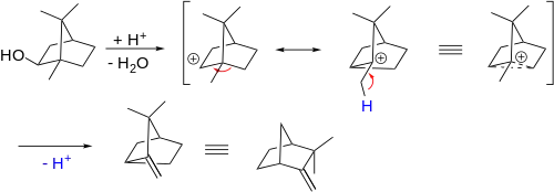 Wagner–Meerwein