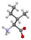 Ball-and-stick model of L-isoleucine