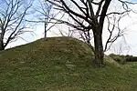 Iwayayama Kofun