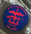 Zespoł Bojowy B, Combined Operations insignia