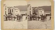 Donkeys packed on the way to a mine in Alma, Colorado, late 1880s.