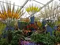 Jacques Amand's display in the Floral Marquee