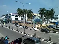 Jalan Bunga Pekan