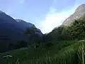 View of Jambu Malai (1395 m) from Manjampatti APC showing fields of butter beans