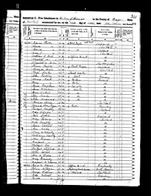 A black and white document with census data on it