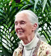 Jane Goodall, 2013