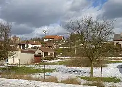 Houses in Janov