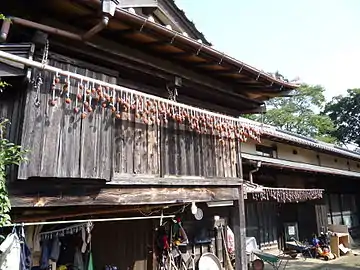 Japanese persimmons hung to dry after fall harvest