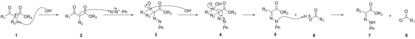 The Japp-Klingemann reaction mechanism