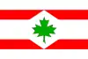 Flag of Javorník