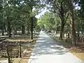 The main pathway of the cemetery.